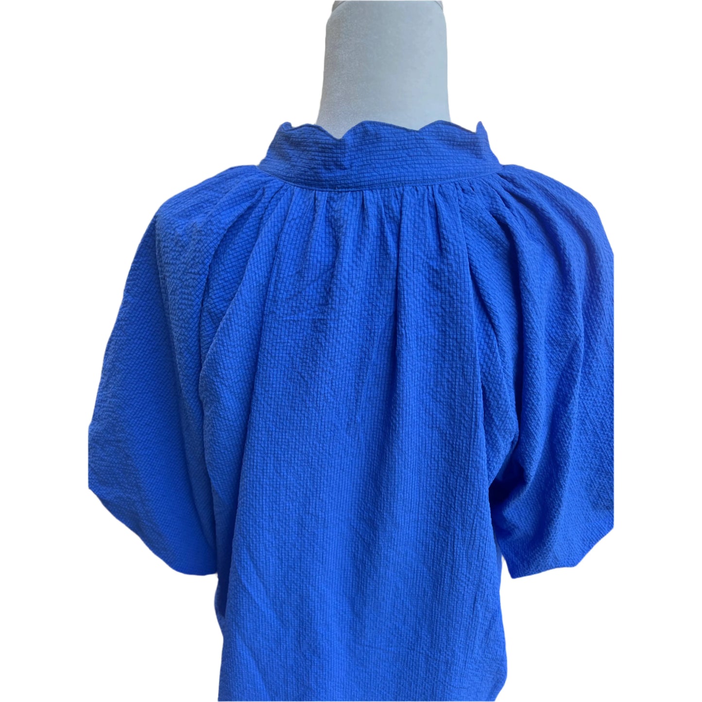 Curvy Lucy Seersucker Blouse